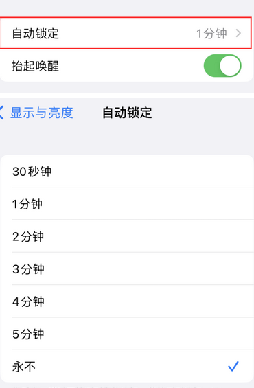 双阳苹果换屏维修分享无法调整iPhone自动锁屏的时间怎么办