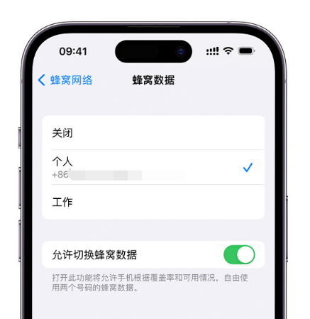 双阳苹果维修服务分享如何在iPhone上使用双卡 